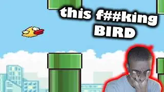 why did i play FLAPPY BIRDS