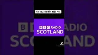 Should we be afraid of dogs we don’t know ?