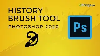 Photoshop 2020 - Lecture - 13 - History Brush Tool - Urdu / Hindi