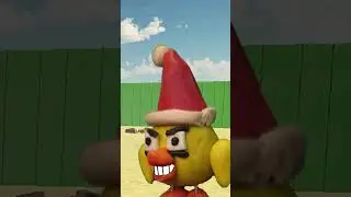 Чикены что то нашли 