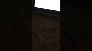 Carly reacts to Daddy Rabbit from Peppa Pig