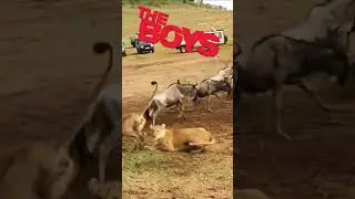 How to hunt