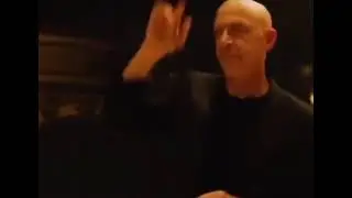 Whiplash cat meme