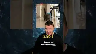 5 малоизвестных фактов о кошках 😼