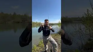 Резина на окуня #shorts #рыбалка