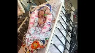 Pregnancy, Miscarriages and Birth Defects - Research Breakthrough