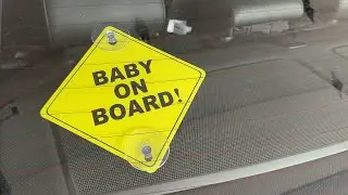 Why You Should Have a BABY ON BOARD Sign!