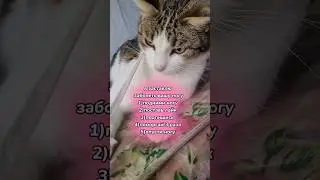3 ноября 2023 г.