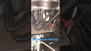Just Started Mining DYNEX! 