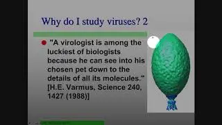 MicrobialEcology_S19_First45Min