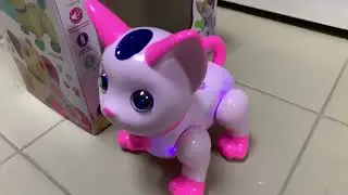 Умный питомец
