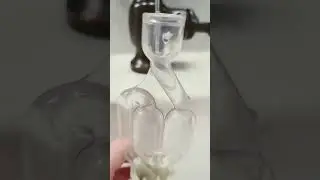 ASMR #asmr