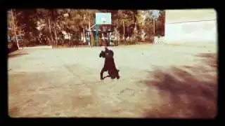 Таластык Пацан