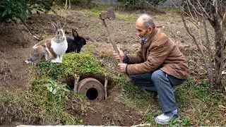 DIY Rabbit Tunnel: Watch These Bunnies Explore Their New Natural Home!