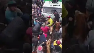 Мана Полвонни зўри