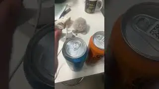 Кто это придумал 