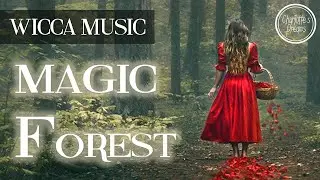 Relaxing music Oracles of the Forest
