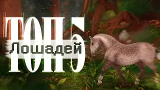 Топ 5 любимых лошадей в моей конюшне! | [SSO]