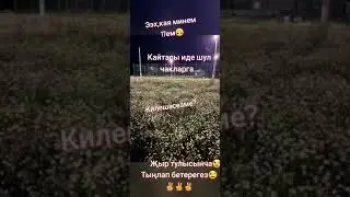 хәерле кич