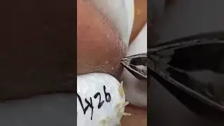 Satisfying and Relaxing pt 5