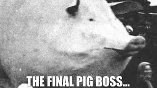 Shitpost Status