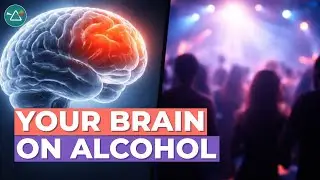 The Science of Alcohol: Effects on the Brain & Body