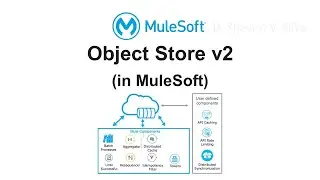 Object Store v2 (in MuleSoft)