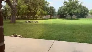 2024 Eclipse: Moon's Shadow Moving Across Backyard (Realtime)