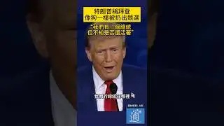 特朗普稱拜登像狗一樣被扔出競選 #特朗普 #哈里斯 #trump #kamalaharris #election