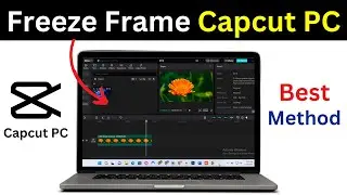 how to freeze frame in capcut pc | freeze frame effect capcut