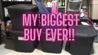 My biggest Vintage Toy buy yet! Will I make my money back?