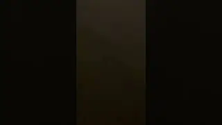 IMG 2313