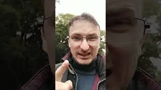 Петухи преследуют Григорина