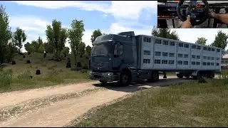 Live Cattle - Turkey to Bulgaria - Renault Premium - #POVStyle #ChestCam | ETS 2 | Logitech G29