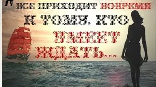 Изучаем  как рботать компании  в компанииSFI. Урок 18, 19 20,21