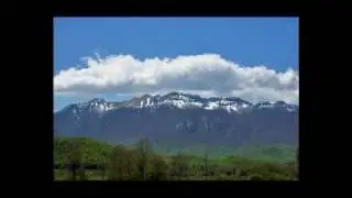 Gori Gora gori borovina