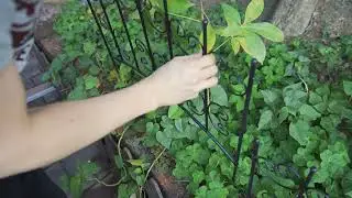 Wrought Iron Garden Fence