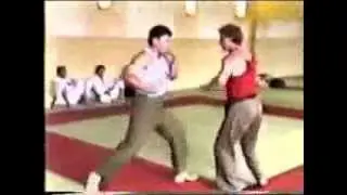 Система А.А.Кадочникова 1991г