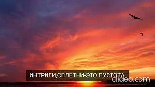 Видео которое успокаивает