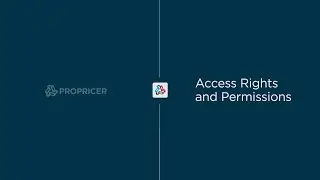 ProPricer Feature: Role Based Environment