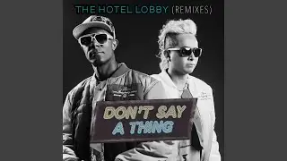 Don't Say a Thing (Remix)