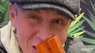 ЛИГАЛАЙЗ ? ВЫБОРЫ 2021