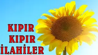 KIPIR KIPIR İLAHİLER - Hareketli Muhteşem İlahiler