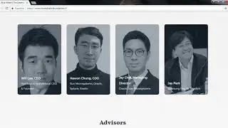 Blue Whale обзор ICO