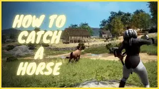[BDO 2021] Quick Guides - How to catch a horse?