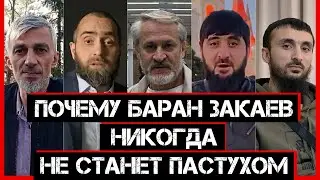 Почему баран Закаев никогда не станет пастухом
