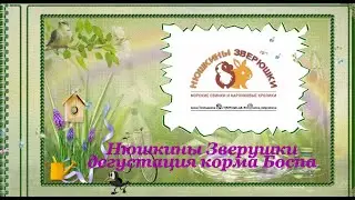 Нюшкины Зверюшки