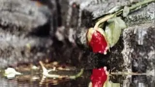 Niepotrzebna mi taka miłość