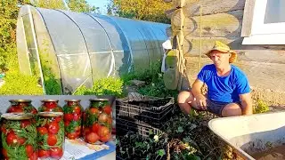 We work and don't forget about our FAVORITE RECIPES