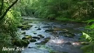 Relaxing Zen Music and Nature Sounds -Flute Music&Water Sounds|Meditation, Sleep Sound@NatureTech2021